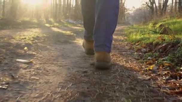Vista baja de las piernas masculinas en botas caminando a lo largo de un sendero en el bosque — Vídeo de stock
