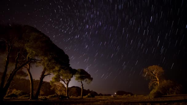 Sentieri stellari nel cielo notturno — Video Stock