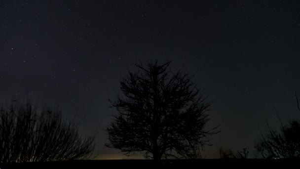 Timelapse рухомих зірок в нічному небі — стокове відео