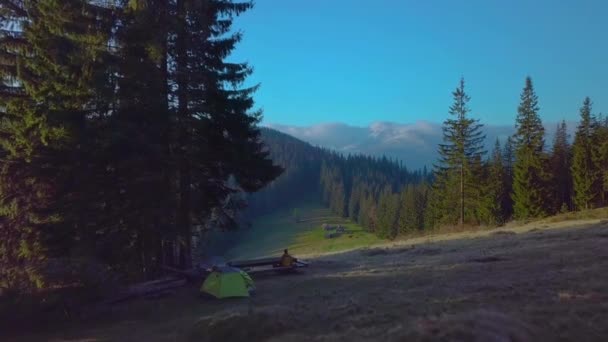 Survoler le camping en forêt dans les montagnes — Video