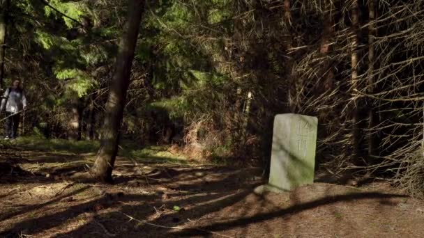 Thurst στο δάσος κοντά στον παλιό συνοριακό πυλώνα των τσεχο-πολωνικών συνόρων — Αρχείο Βίντεο