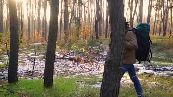 Ein Mann mit Kamera läuft auf einem Waldweg — Stockvideo