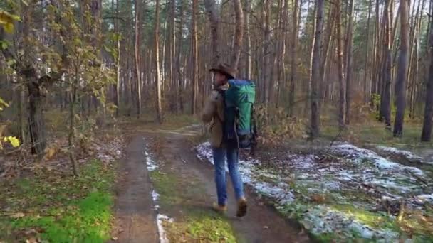 Ο τουρίστας ταξιδεύει στο δάσος και φωτογραφίζει — Αρχείο Βίντεο