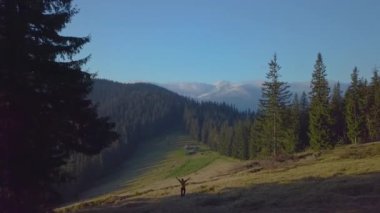Dağlardaki ormanda kamp yaparken