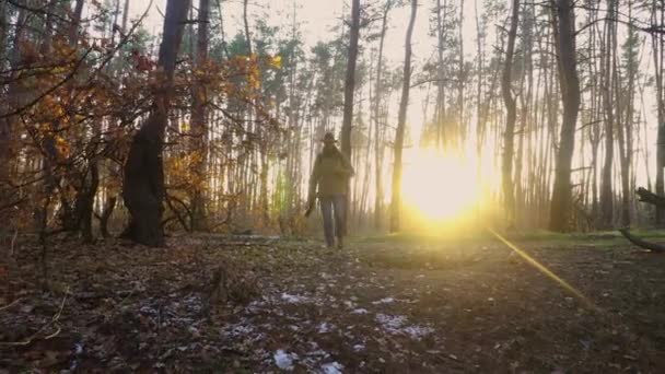 기타와 카메라를 든 배낭 여행자가 숲 속을 걸어 다닌다 — 비디오