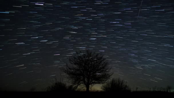 Comet-shaped star trails in the night sky — Stock Video