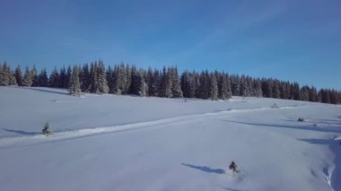 Kış dağlarının güzel manzarasının üzerinde uçuyor
