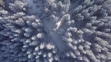 Hava üstgeçidi donmuş karlı çam ormanları