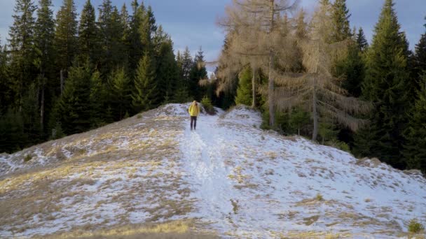 Een man met een rugzak reist in de winter door het bos — Stockvideo