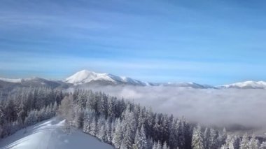 Kış dağlarının güzel manzarasının üzerinde uçuyor