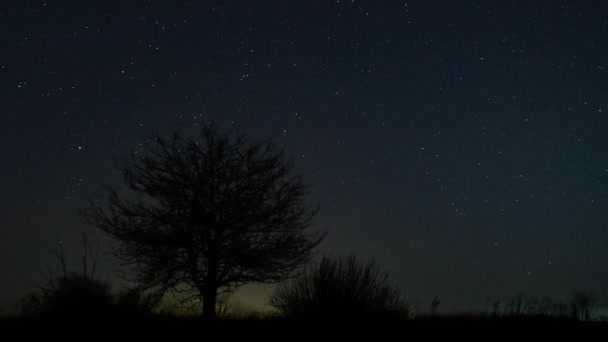 Timelapse рухомих зірок в нічному небі — стокове відео