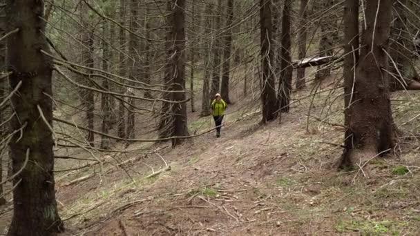 一个背着背包的女人在森林里旅行 — 图库视频影像