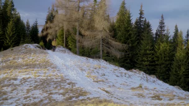 Een man met een rugzak reist in de winter door het bos — Stockvideo