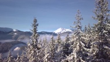 Kış dağlarının güzel manzarasının üzerinde uçuyor