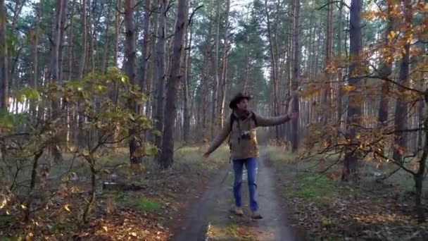 Backpacker met camera wandelingen langs een pad in het bos — Stockvideo