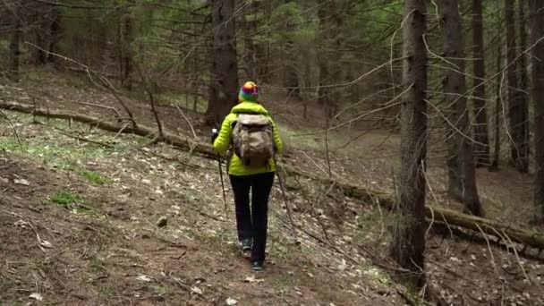 가방을 들고 숲 속을 여행하는 여자 — 비디오