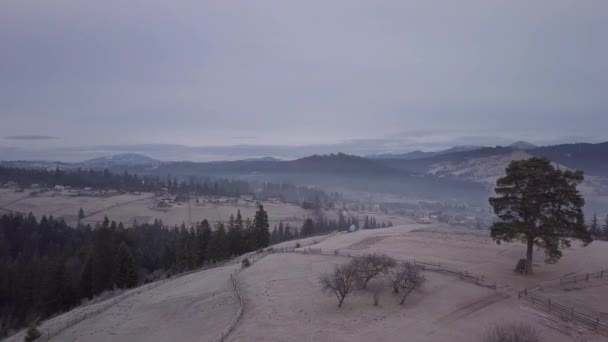 Vuelo sobre el pueblo en las montañas Cárpatos — Vídeo de stock