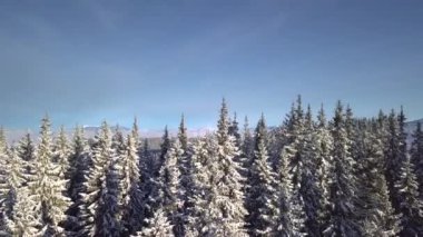 Kış dağlarının güzel manzarasının üzerinde uçuyor