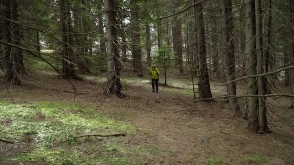 Uma mulher com uma mochila viaja na floresta — Vídeo de Stock