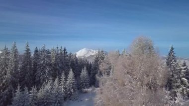 Kış dağlarının güzel manzarasının üzerinde uçuyor