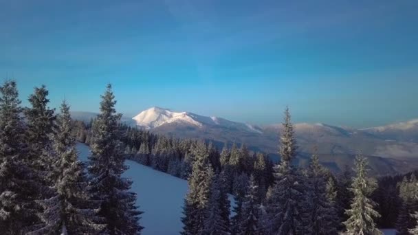Πετώντας πάνω από όμορφο τοπίο των χειμερινών βουνών — Αρχείο Βίντεο