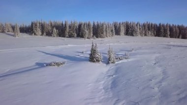 Kış dağlarının güzel manzarasının üzerinde uçuyor