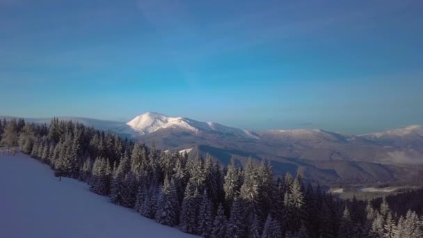 Voando sobre bela paisagem de montanhas de inverno — Vídeo de Stock