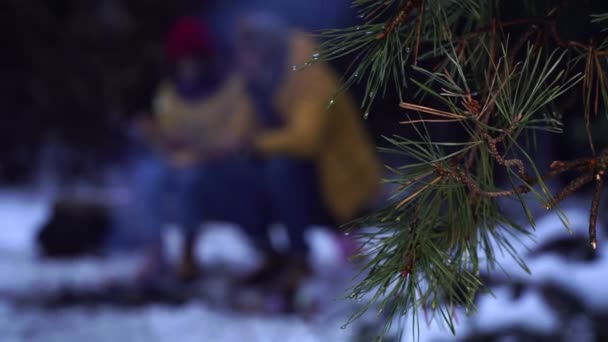 Turistas en el bosque de invierno — Vídeos de Stock