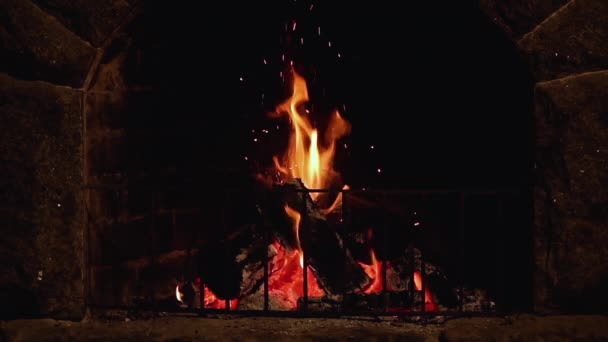 Le feu brûle dans la cheminée — Video