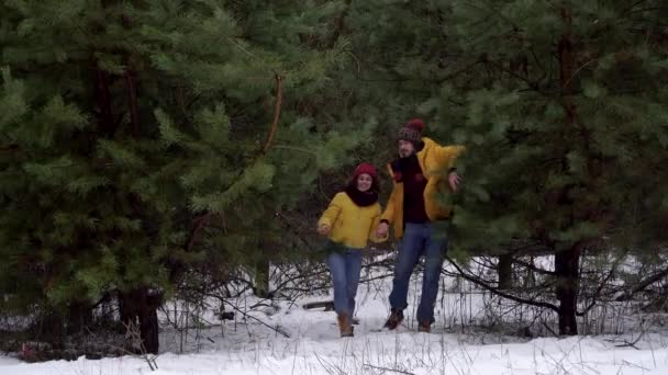 Jovem mulher e homem caminhando na floresta no inverno — Vídeo de Stock