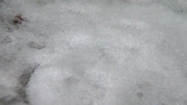 Parlak eriyen kar taneciklerinin makro hızlandırılmış görüntüsü sıvı suya dönüşüyor ve yeşil çimenler ve yapraklar ortaya çıkıyor.