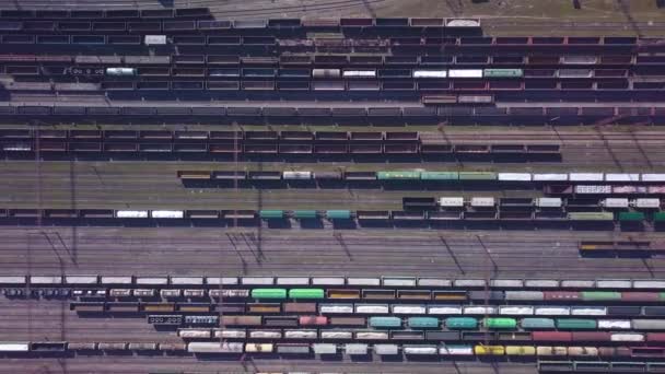 Luftaufnahme einer Eisenbahnsortierstation und viele Waggons an einer Eisenbahnlinie — Stockvideo