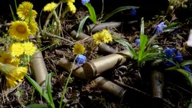 Bahar çiçeklerindeki boş makineli tüfek mermileri
