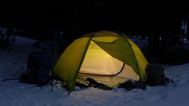 Tienda iluminada amarilla en bosque de invierno — Vídeo de stock