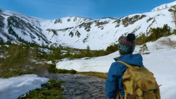 Młoda kobieta z plecakiem podróżuje w góry — Wideo stockowe