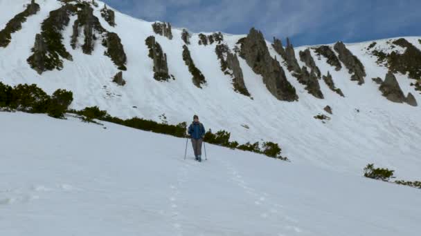 リュックを持つ若い女性が山の中を旅する — ストック動画