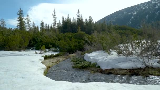 Vårbäck i fjällen — Stockvideo