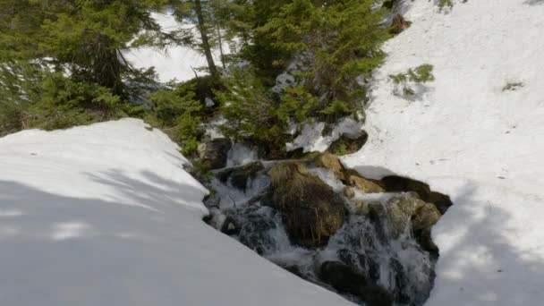 Primavera ruscello in montagna — Video Stock