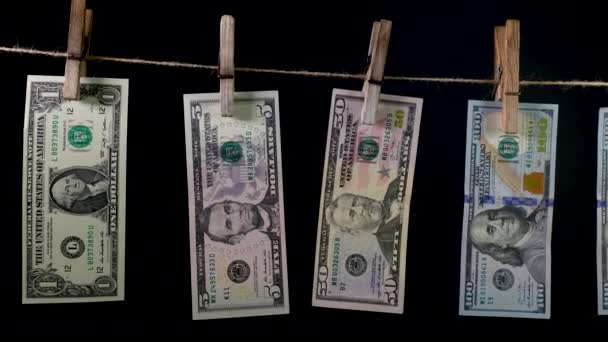 Dollars droog op een wasknijper touw — Stockvideo