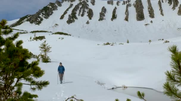 Fiatal nő utazik a hegyekben télen — Stock videók