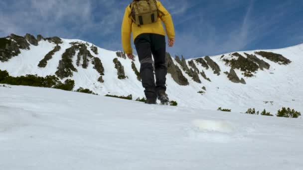 背着背包的人在山里旅行 — 图库视频影像