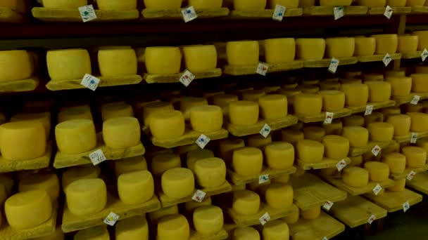 Widok na koła serowe parmezanu dojrzewające na półkach w piwnicy fabryki sera — Wideo stockowe