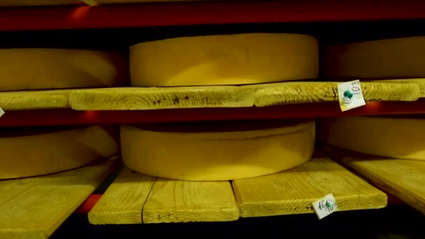 Vista para as rodas de queijo de parmesão amadurecendo nas prateleiras na adega da fábrica de queijo — Vídeo de Stock