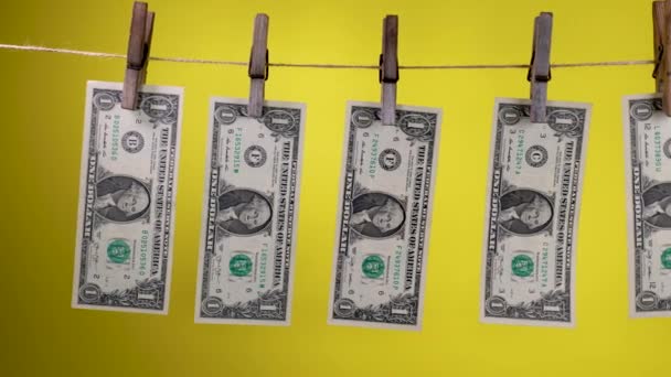 Dolarlar çamaşır iğnesinde kurur. — Stok video
