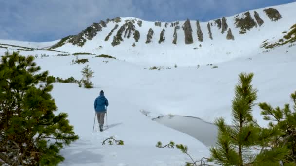 Genç kadın kışın dağlarda gezer. — Stok video