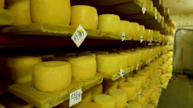 Peynir fabrikasının mahzenindeki raflarda olgunlaşan parmesan peynirlerine bakın.