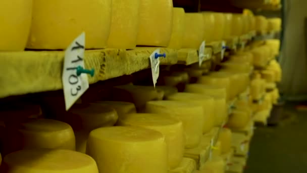 Vista a las ruedas de queso de parmesano madurando en los estantes de la bodega de la fábrica de queso — Vídeo de stock