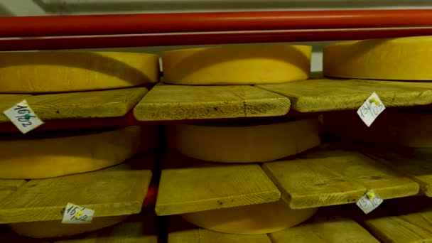 Vista para as rodas de queijo de parmesão amadurecendo nas prateleiras na adega da fábrica de queijo — Vídeo de Stock