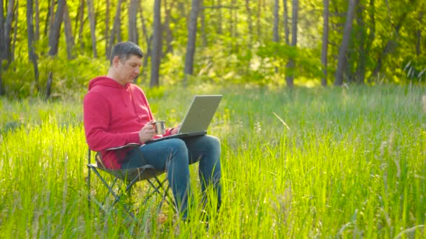 Man working on laptop in summer forest — Stock Video