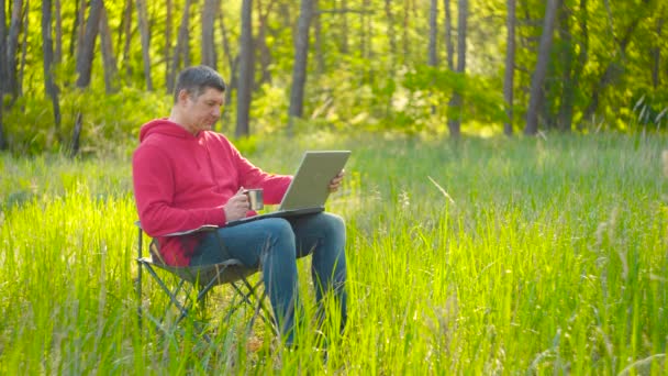 Yaz ormanlarında dizüstü bilgisayarda çalışan adam. — Stok video